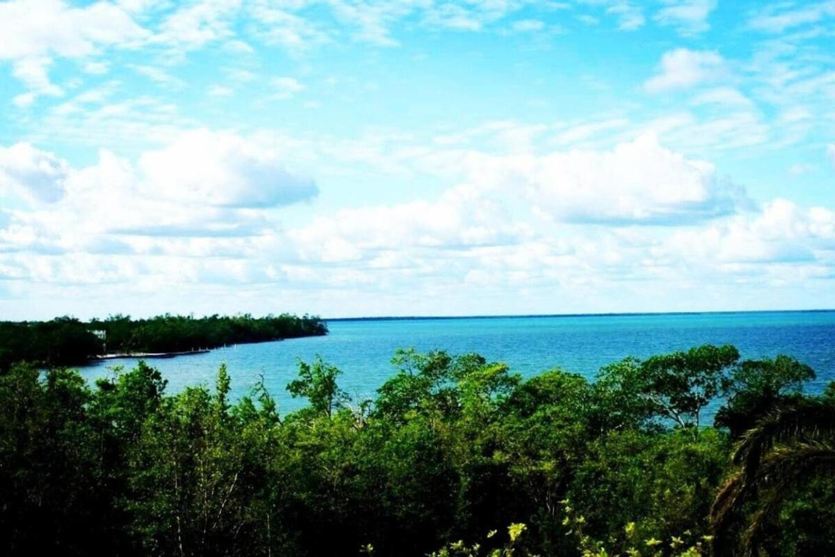 See Belize Waterside Sea View Apartment With Infinity Pool & Overwater Deck Belize City Exterior photo